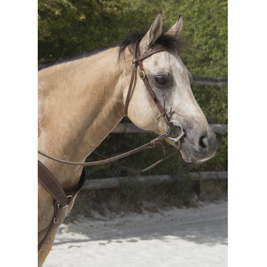 Bridon Westride door Franck Perret Colorado Chocolade Bruin