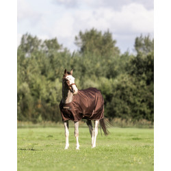 Bucas Irish Turnout 300g deken met halsstuk Espresso Bruin Bucas Irish Turnout 300g deken met halsstuk Espresso Bruin