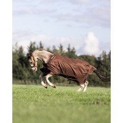 Bucas Irish Turnout 300g deken met halsstuk Espresso Bruin Bucas Irish Turnout 300g deken met halsstuk Espresso Bruin