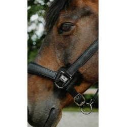 Halster Equithème Glowy Zwart / zwart