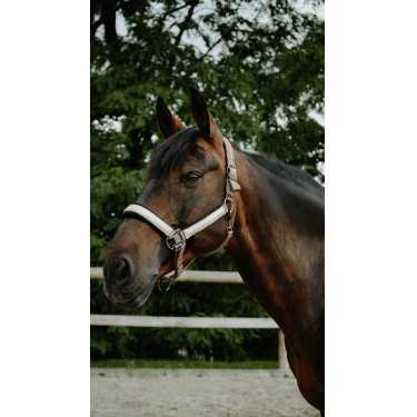 Halster Equithème Glowy Beige / goudkleurig Halster Equithème Glowy Beige / goudkleurig