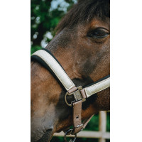 Halster Equithème Glowy Zwart / zwart