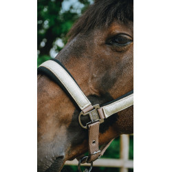 Halster Equithème Glowy Beige / goudkleurig Halster Equithème Glowy Beige / goudkleurig