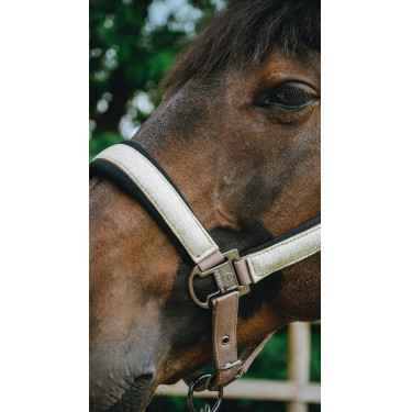 Halster Equithème Glowy Beige / goudkleurig Halster Equithème Glowy Beige / goudkleurig