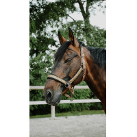 Halster Equithème Glowy Zwart / zwart