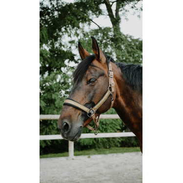 Halster Equithème Glowy Beige / koper