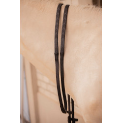 Teugels Pénélope Symphonie Zwart