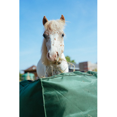 Natural'Kub Natural'Innov