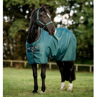 Horseware Amigo Ripstop 900D Turnout 100g deken Zwart / klassiek blauw