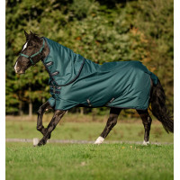 Amigo Ripstop Horseware 900D Plus Turnout 200g deken Groen dynastie / marine / zilver