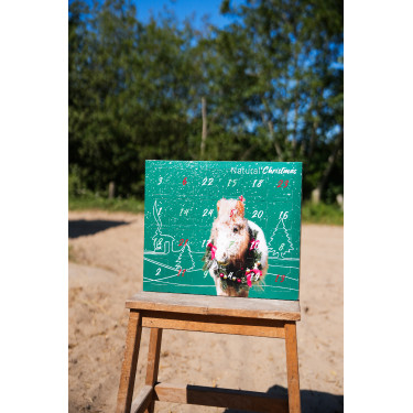 Adventskalender Natural'Christmas Gourmet 2025 Natural'Innov