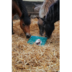 Adventskalender Natural'Christmas Gourmet 2025 Natural'Innov