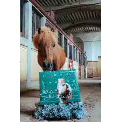 Adventskalender Natural'Christmas Gourmet 2025 Natural'Innov