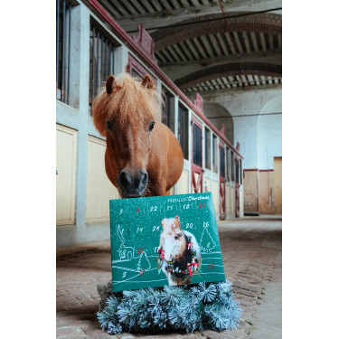 Adventskalender Natural'Christmas Gourmet 2025 Natural'Innov