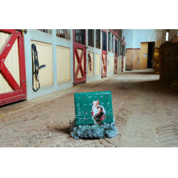 Adventskalender Natural'Christmas Gourmet 2025 Natural'Innov