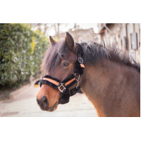 Halster Pénélope Soft Zwart