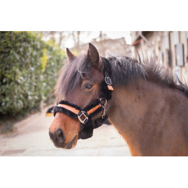 Halster Pénélope Soft Zwart