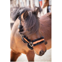 Halster Pénélope Soft Zwart