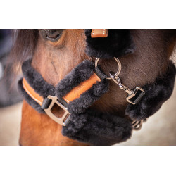 Halster Pénélope Soft Zwart