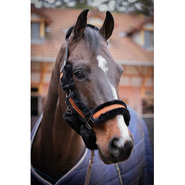 Halster Pénélope Soft Zwart