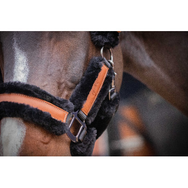 Halster Pénélope Soft Zwart