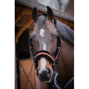 Halster Pénélope Soft Zwart