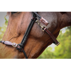 Halster Pénélope Ethologisch Havana / zwart Bruin Halster Pénélope Ethologisch Havana / zwart Bruin