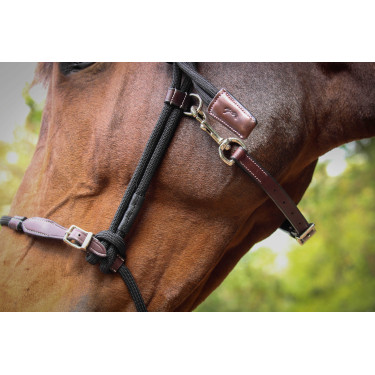 Halster Pénélope Ethologisch Havana / zwart Bruin Halster Pénélope Ethologisch Havana / zwart Bruin