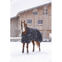 Waterdichte Oxford-deken Riding World Zwart