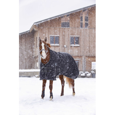 Waterdichte Oxford-deken Riding World Zwart Waterdichte Oxford-deken Riding World Zwart