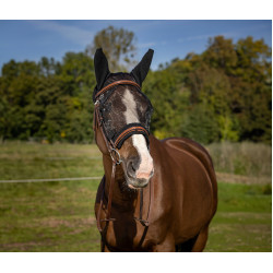 Anti-vliegmasker Equithème Training Anti-vliegmasker Equithème Training