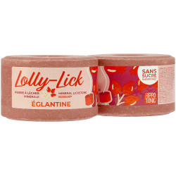 Hippotonic Lolly-Lick zoutsteen Egelantier