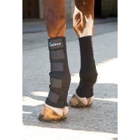 Buitenkant peesbeschermers Arma Shires Zwart Buitenkant peesbeschermers Arma Shires Zwart