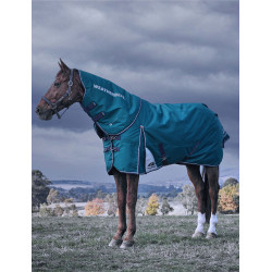 Weatherbeeta ComFiTec Dynamic Turnout 220 g deken met afneembare hals Bosgroen / marineblauw