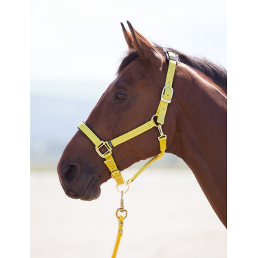 Topaz nylon halster Shires Geel