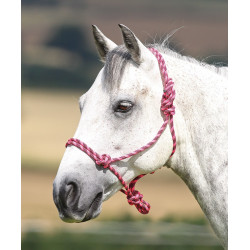 Shires touwhalster Roze / zwart