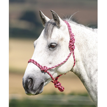 Shires touwhalster Roze / zwart