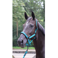 Longeerlijn Lami-Cell Charming Turkoois Blauw