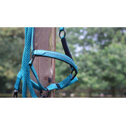 Longeerlijn Lami-Cell Charming Turkoois Blauw