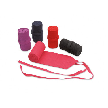 Staartverband Shires