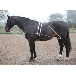 Longeeroefentuig Shires Zwart