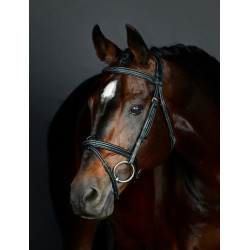 Collegiate Hannoveraanse hoofdstel met padding ComFiTec Opulux Fancy Stitch Zwart