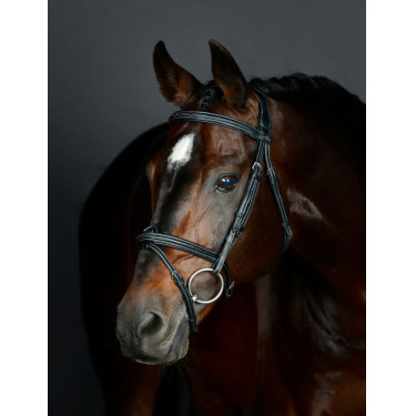 Collegiate Hannoveraanse hoofdstel met padding ComFiTec Opulux Fancy Stitch Zwart