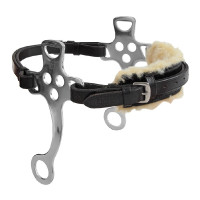Hackamore Blenheim Shires – bitloos hoofdstel voor paardrijden