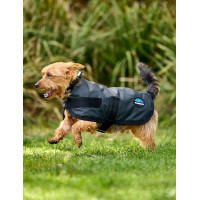 Waterdichte honden deken Weatherbeeta ComFiTec Classic Houtskool Grijs Waterdichte honden deken Weatherbeeta ComFiTec Classic Houtskool Grijs