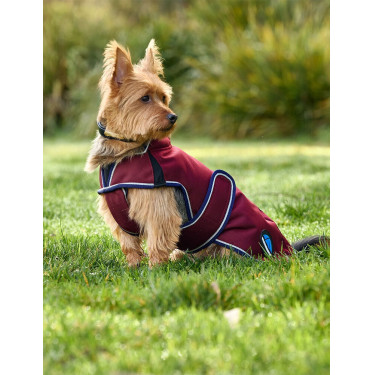 Weerbestendige hondenmantel WeatherBeeta ComFiTec Premier Deluxe Bourgogne / marine Weerbestendige hondenmantel WeatherBeeta ComFiTec Premier Deluxe Bourgogne / marine