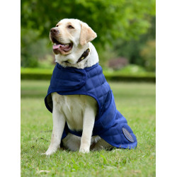 Honden deken Weatherbeeta ComFiTec Deluxe Diamond Quilt Marine Marineblauw Honden deken Weatherbeeta ComFiTec Deluxe Diamond Quilt Marine Marineblauw