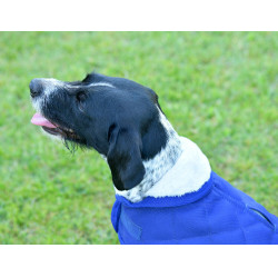 Honden deken Weatherbeeta ComFiTec Deluxe Diamond Quilt Marine Marineblauw Honden deken Weatherbeeta ComFiTec Deluxe Diamond Quilt Marine Marineblauw