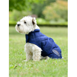 Honden deken Weatherbeeta ComFiTec Deluxe Diamond Quilt Marine Marineblauw Honden deken Weatherbeeta ComFiTec Deluxe Diamond Quilt Marine Marineblauw