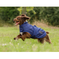 Honden deken Weatherbeeta ComFiTec Deluxe Diamond Quilt Marine Marineblauw Honden deken Weatherbeeta ComFiTec Deluxe Diamond Quilt Marine Marineblauw
